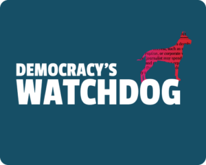 Democracy's Watchdog standards alignments